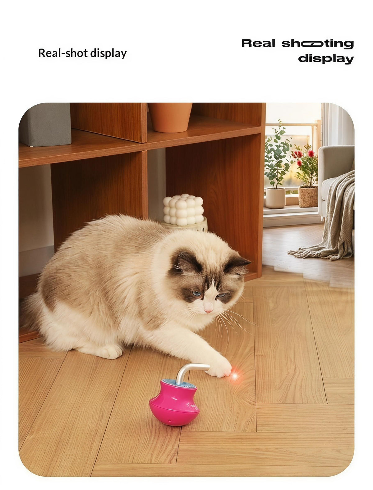 Automatic Interactive Cat Laser Toy for Indoor Cats' Playtime and Entertainment (Red)
