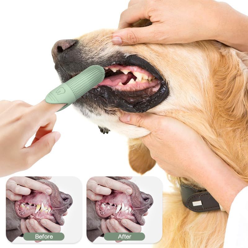 2Pack 360° Pet Dental Finger Brush for Dogs and Cats, Silicone Bristle Toothbrush, Plaque Removal Tool for All Breeds, Puppies, Kittens(Blue)
