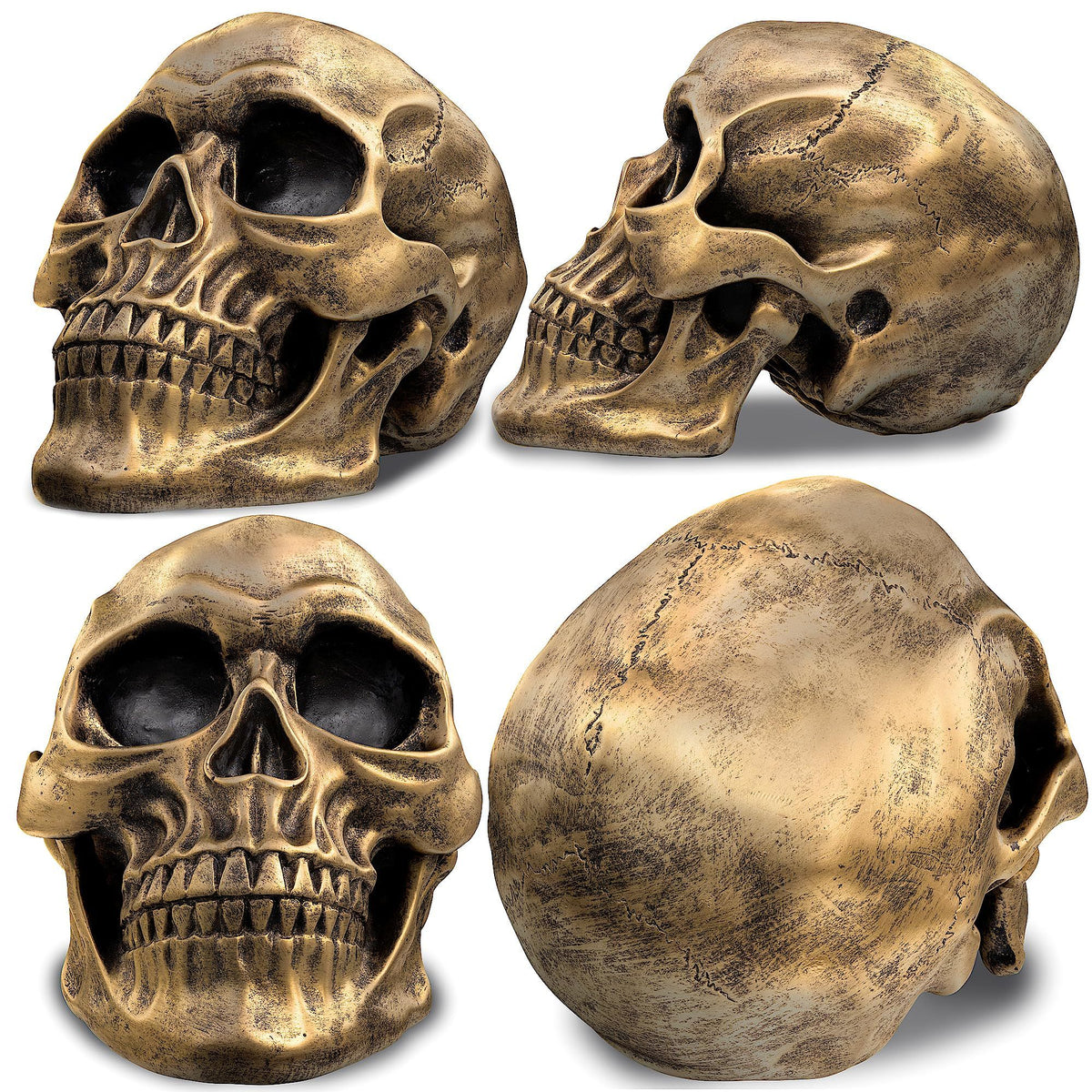 Life Size Human Skull Model 1:1 Replica Realistic Human Adult Skull Head Bone Model (Gold)Halloween and party decorations