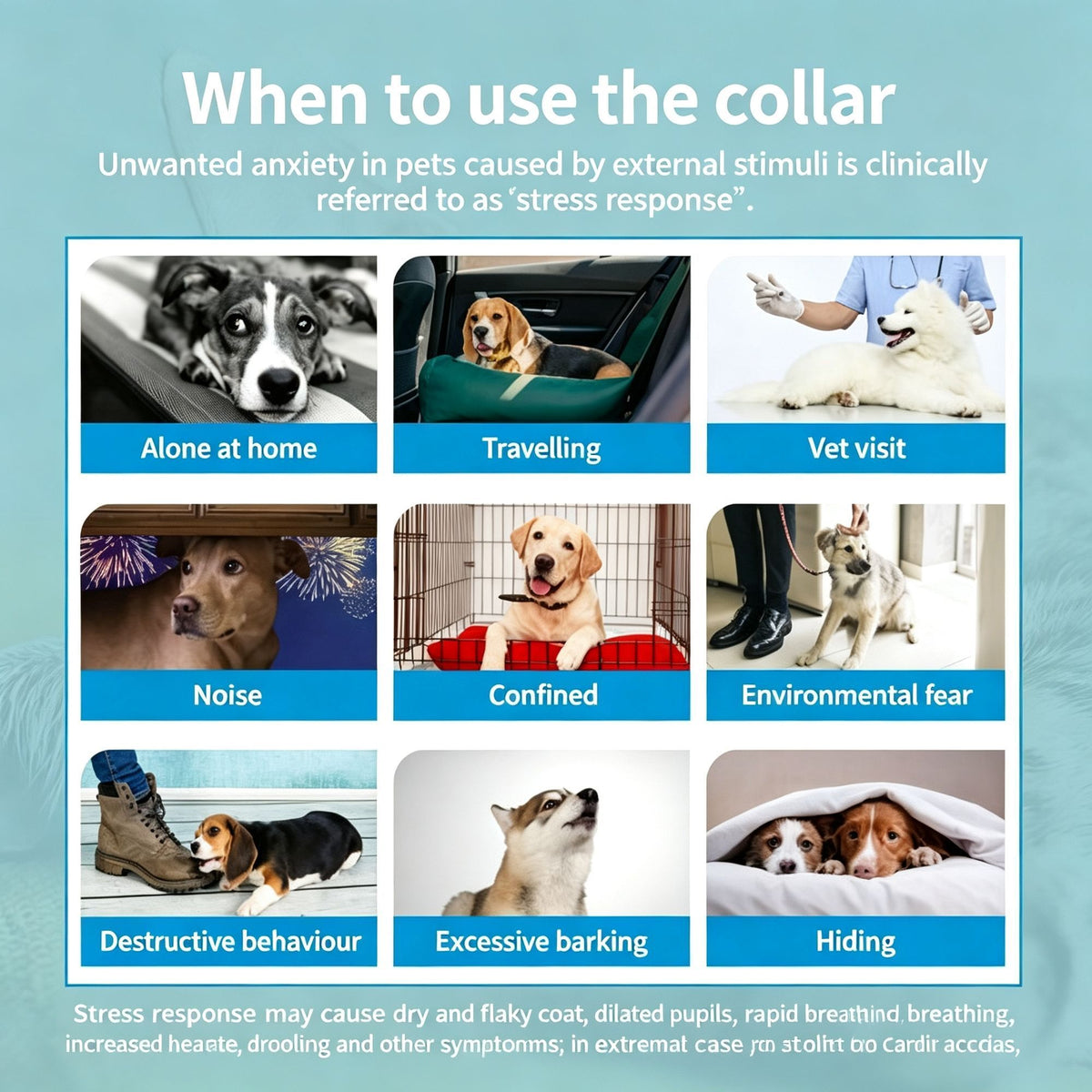 4 Pack Black Cat Calming Collar 38cm | Halloween Calming Gift | Stress Reaction Relief Soothing Collar