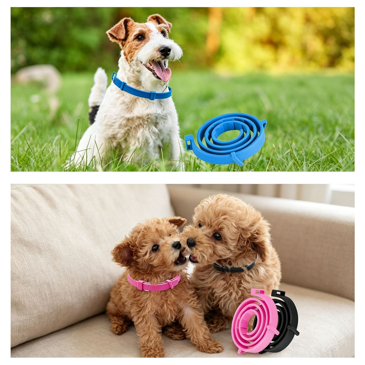 4 Pack Purple Dog Calming Collar 62cm | Halloween Warm Gift | Separation Anxiety Soothing Calm Collar