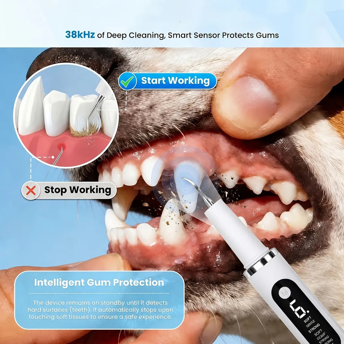 Pet Electric Ultrasonic Tooth Cleaner, 38kHz, 5 Modes, USB Rechargeable, Tartar Remover for Cats & Dogs