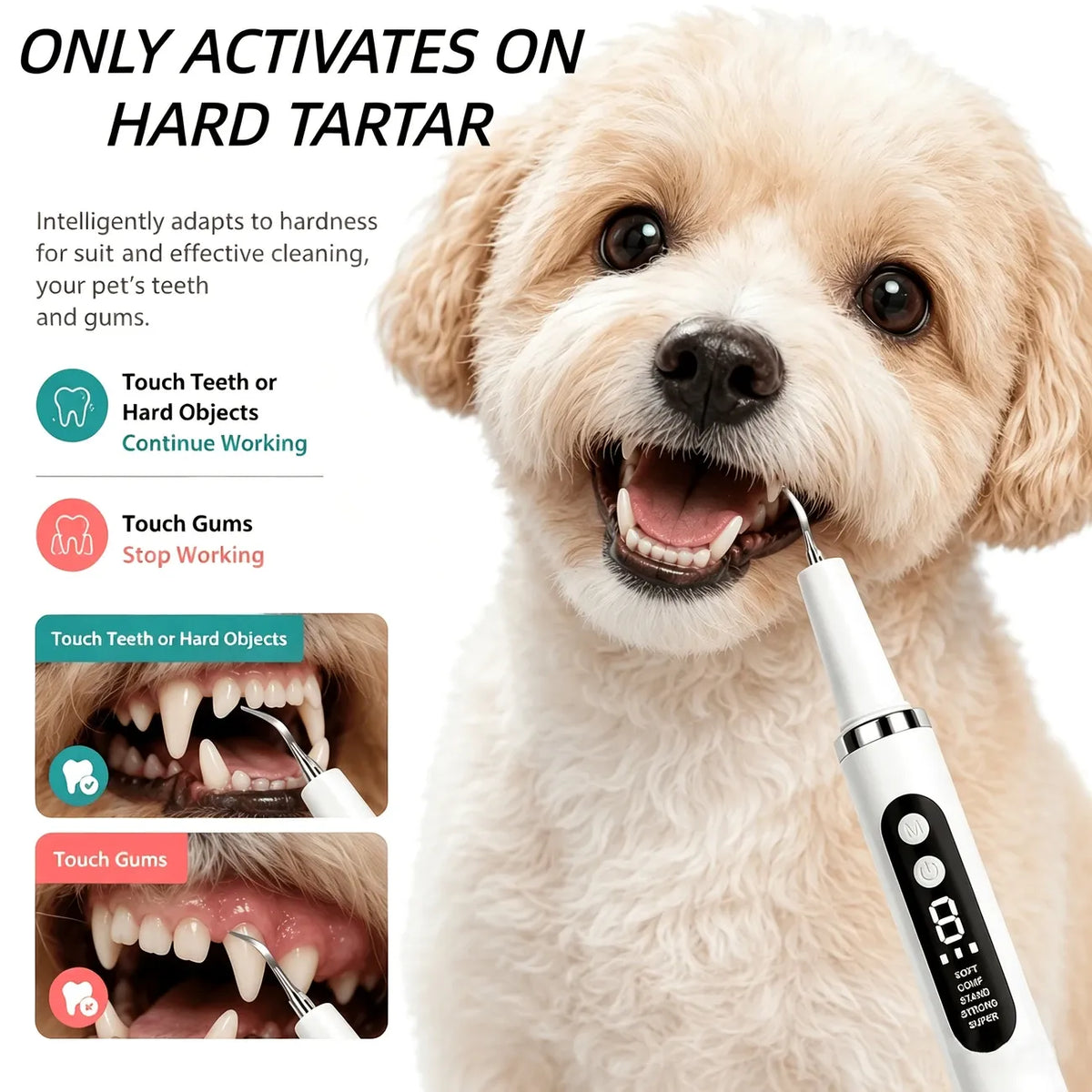 Pet Electric Ultrasonic Tooth Cleaner, 38kHz, 5 Modes, USB Rechargeable, Tartar Remover for Cats & Dogs