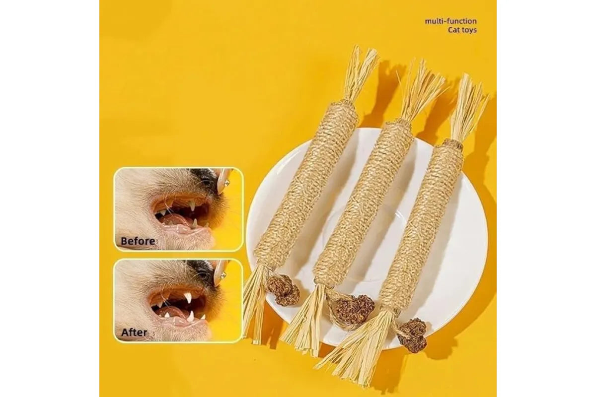 5 Pack Natural Silvervine Sticks Cat Dental Chew Toy Teeth Cleaning Kitten Bite