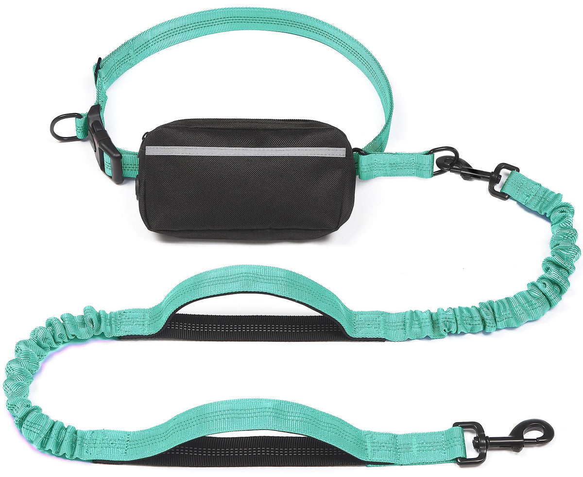 Hands-Free Dog Leash with Waist Belt and Storage Pouch, Shock-Absorbing Bungee Leash for Running, Walking, and Outdoor Adventures, Reflective Safety Design for Night Walks (Purple)
