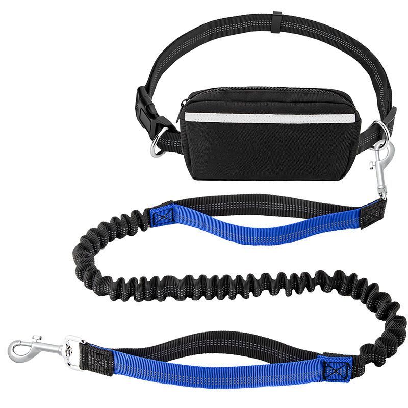 Hands-Free Dog Leash with Waist Belt and Storage Pouch, Shock-Absorbing Bungee Leash for Running, Walking, and Outdoor Adventures, Reflective Safety Design for Night Walks (Purple)