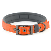 Pet  Dog Collar, Reflective, Adjustable Heavy Duty Dog Collar, Soft Padded and Comfortable, for Small Medium and Large Dogs (Orange, M)