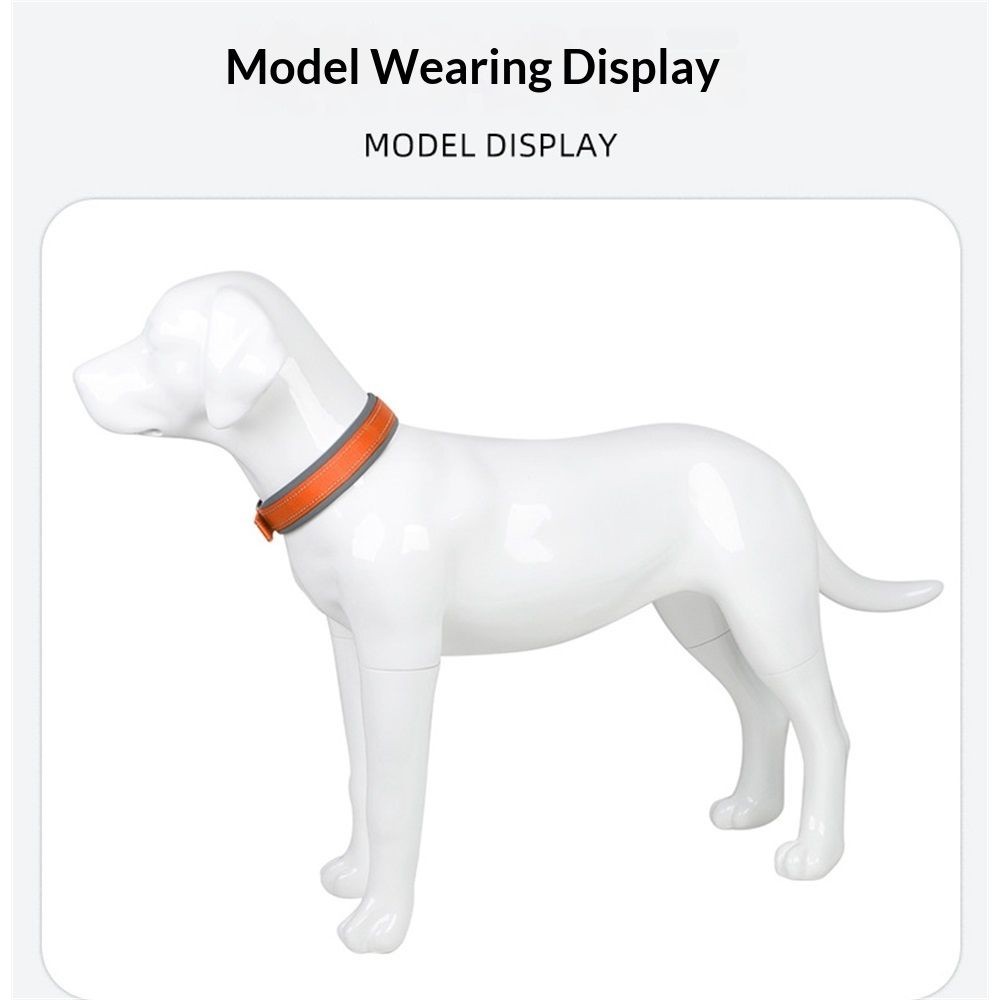 Pet  Dog Collar, Reflective, Adjustable Heavy Duty Dog Collar, Soft Padded and Comfortable, for Small Medium and Large Dogs (Orange, M)