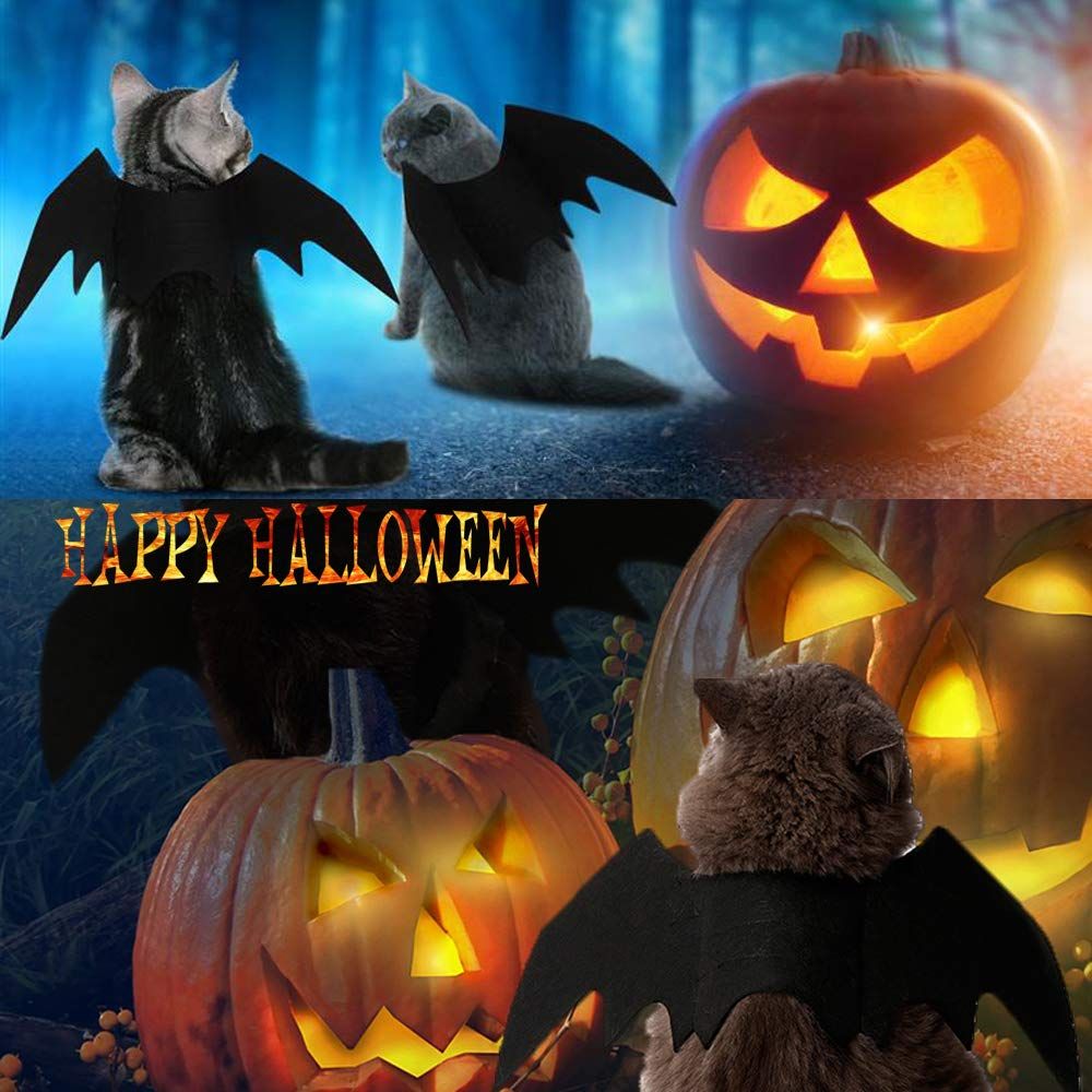 Pet Cat Bat Wings for Halloween Party Decoration, Puppy Collar Leads Cosplay Bat Costume,Cute Puppy Cat Dress M