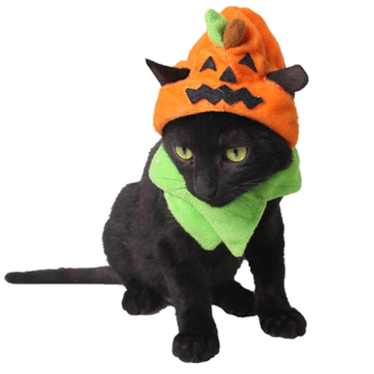 Halloween Pumpkin Cat Hat Cat Cosplay Costume Cap Cat Collar Costume CUTE DESIGN CONVENIENT Happy Halloween