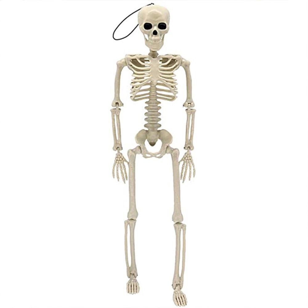 Posable Halloween Skeletons Decor, 15'x4.7' Small Hanging Skeleton with Movable Joints for Halloween Decorations, Graveyard Props