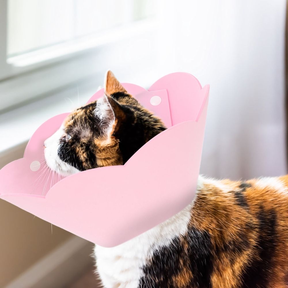 Pet Protective Collar for Cats, Soft EVA Material, Anti-Bite and , Comfortable and , 3 Pieces Set for Home Use