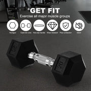 20lb to 45lb Rubber Coated Hex Dumbbells (sold in pairs) — Pair of 30LB / ~13.5kg