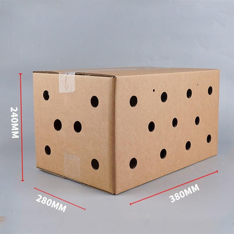 10PCS Disposable Cardboard Pet Carrier - 3 Sizes for Small Animals - 38*28*24CM