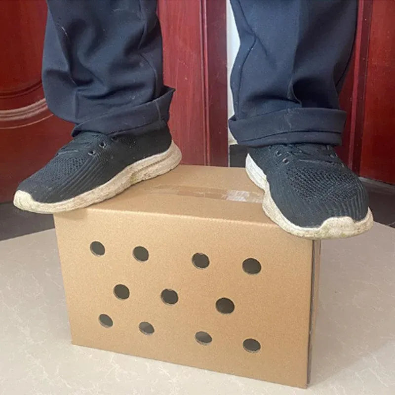 10PCS Disposable Cardboard Pet Carrier - 3 Sizes for Small Animals - 38*28*24CM