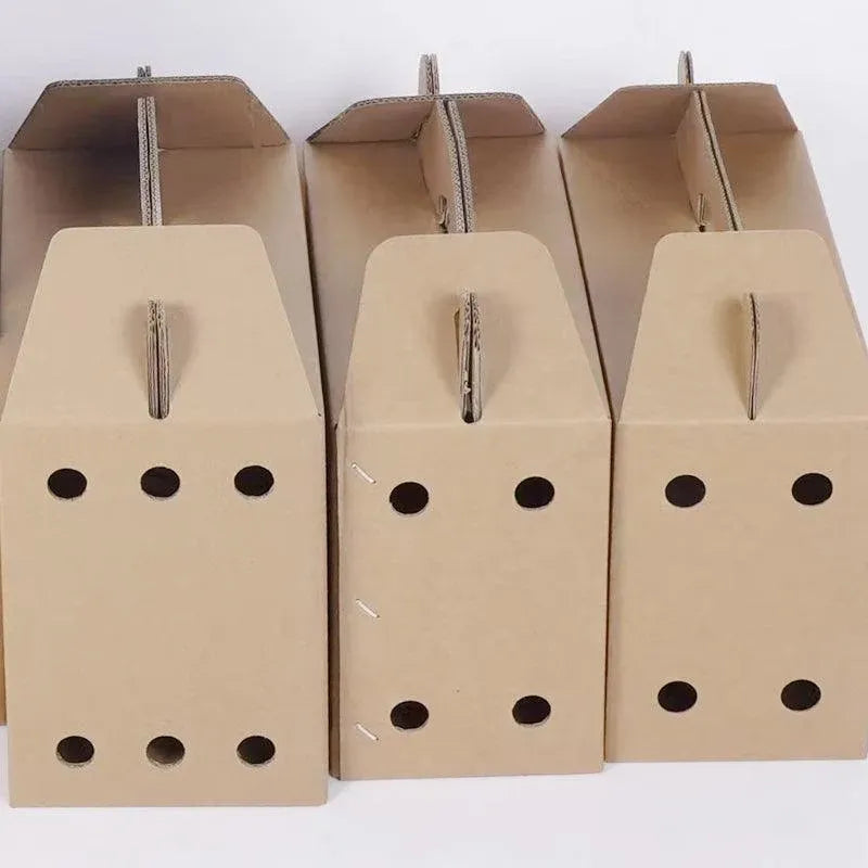 10PCS Disposable Cardboard Pet Carrier - 3 Sizes for Small Animals - 38*28*24CM