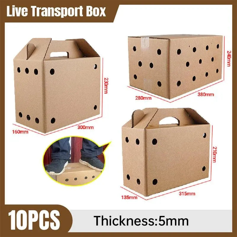 10PCS Disposable Cardboard Pet Carrier - 3 Sizes for Small Animals - 38*28*24CM