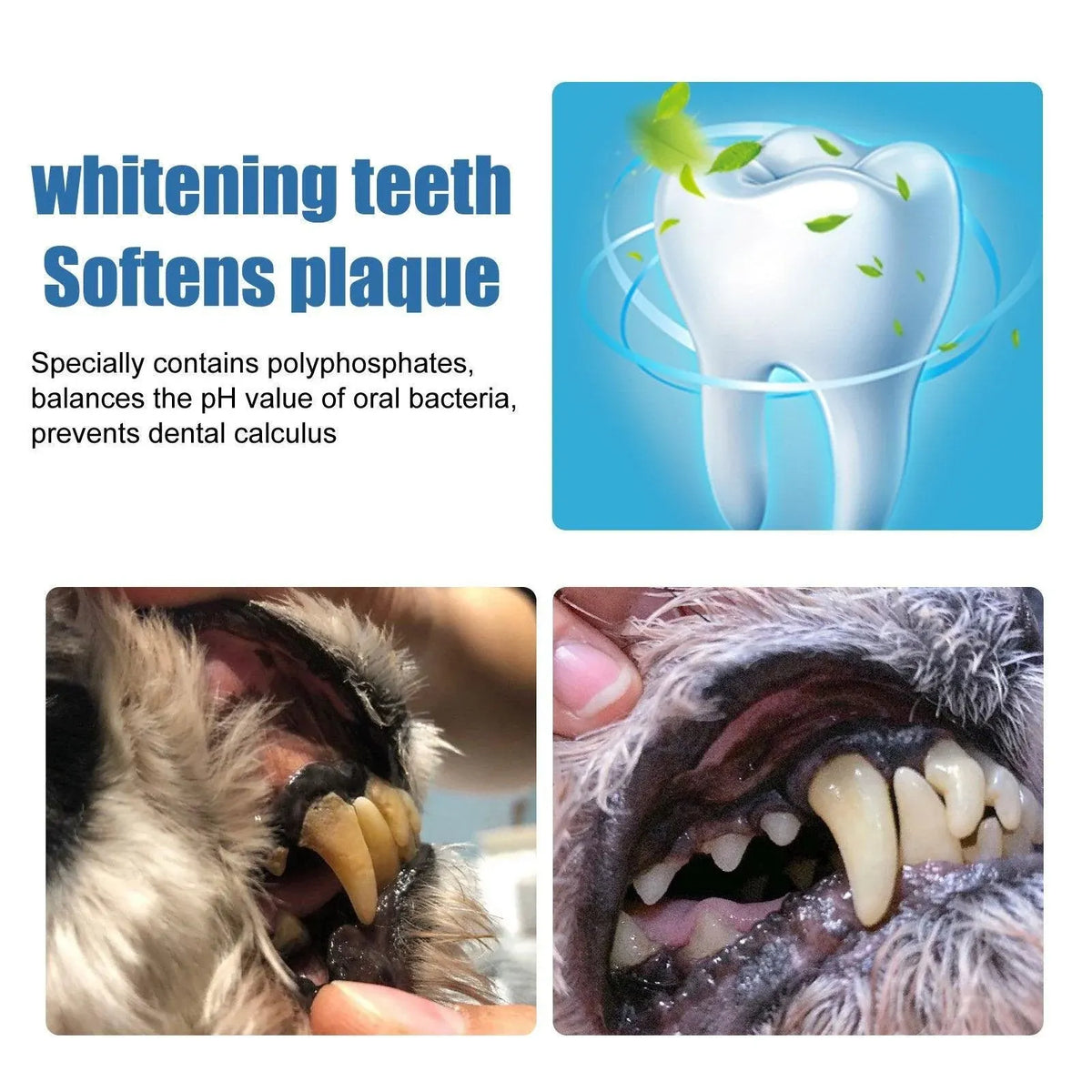 Pet Tartar Remover for Yellow Teeth Bad Breath Cleaning Foam Oral Care Cleaner