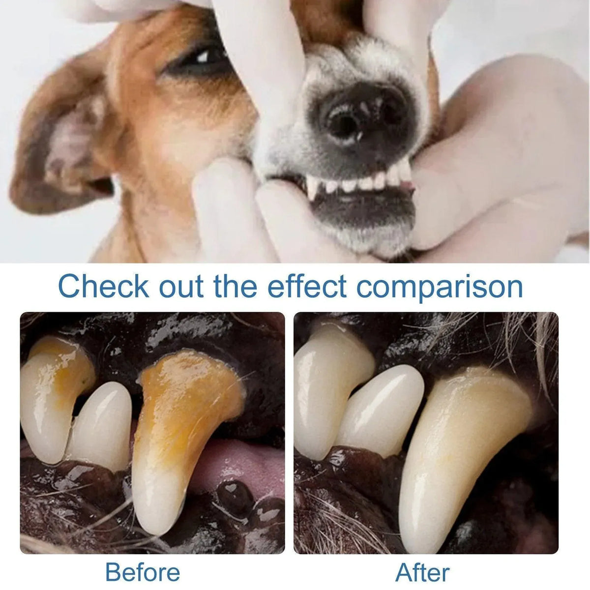 Pet Tartar Remover for Yellow Teeth Bad Breath Cleaning Foam Oral Care Cleaner