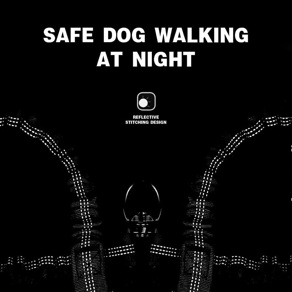 Grey 3-in-1 Tangle-Free Dog Leash for 1-3 Dogs - Heavy Duty Bungee Coupler with Reflective Stitching & Padded Handle